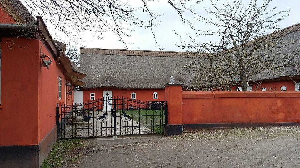 Bed and Breakfast Soegaardensbb Stenlose Екстер'єр фото