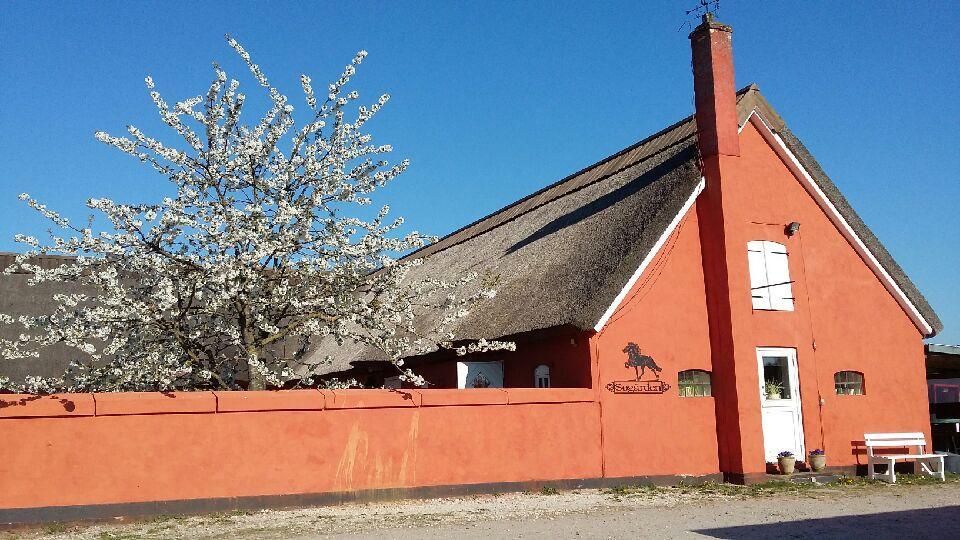 Bed and Breakfast Soegaardensbb Stenlose Екстер'єр фото