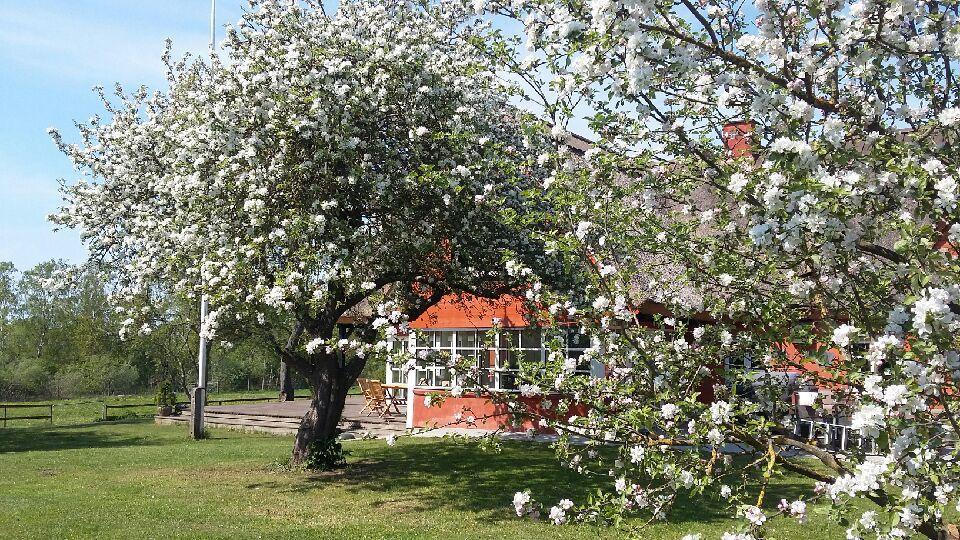 Bed and Breakfast Soegaardensbb Stenlose Екстер'єр фото