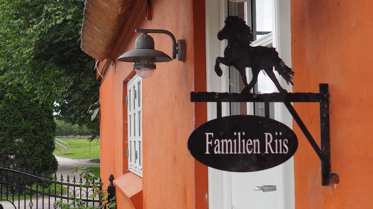 Bed and Breakfast Soegaardensbb Stenlose Екстер'єр фото