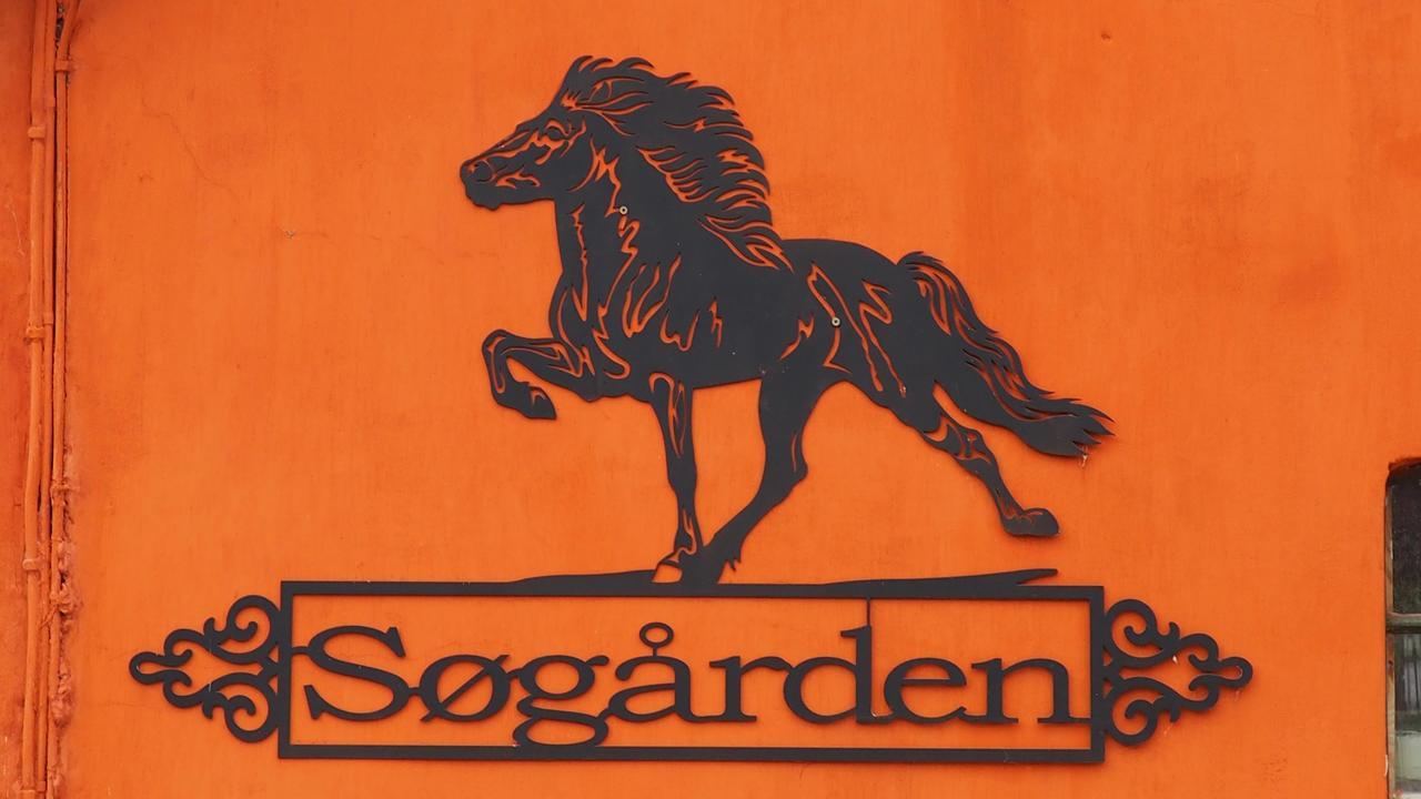 Bed and Breakfast Soegaardensbb Stenlose Екстер'єр фото
